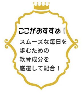 ここがおすすめ