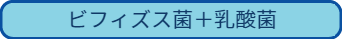 飾りケイ