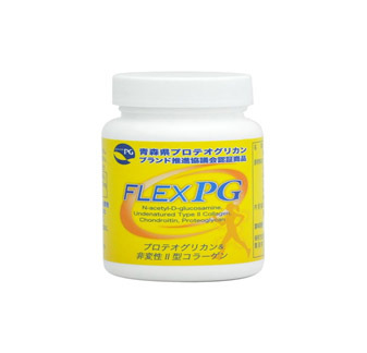 フレックスＰＧ