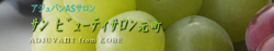 サンビューティサロン元町ロゴ