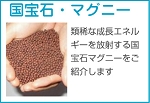 国宝石マグニーを紹介します。