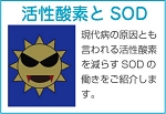 活性酸素とSODの働きを紹介します。
